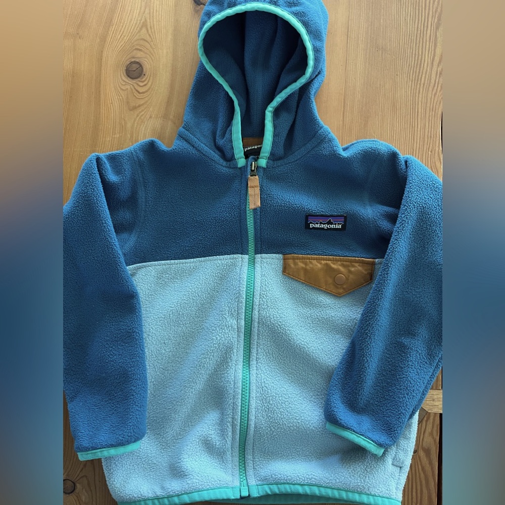 Patagonia Fleece Jacket (size 2T)